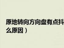 原地转向方向盘有点抖动（原地转动方向盘有吱吱响声是什么原因）