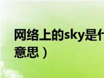 网络上的sky是什么意思（网络用语sky什么意思）