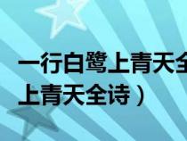 一行白鹭上青天全诗是几年级学的（一行白鹭上青天全诗）