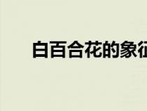 白百合花的象征（白百合花代表什么）