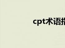 cpt术语指（cpt如何理解）