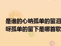 是谁的心呐孤单的留泪谁的心呢是谁的心啊干嘛（是谁的心呀孤单的留下是哪首歌）