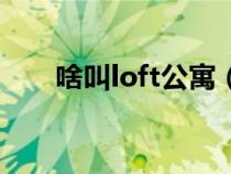 啥叫loft公寓（loft公寓是什么意思）