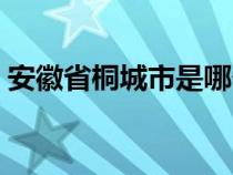 安徽省桐城市是哪个市（桐城是安徽哪个市）