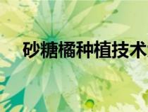 砂糖橘种植技术大全（砂糖橘种植技术）