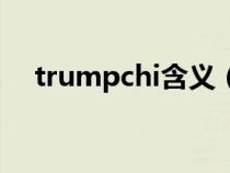 trumpchi含义（trumpchi是什么意思）