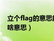 立个flag的意思能是褒义词吗?（立个flag是啥意思）