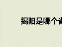 揭阳是哪个省市（揭阳是哪个省）