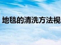 地毯的清洗方法视频教程（地毯的清洗方法）