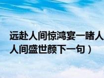 远赴人间惊鸿宴一睹人间盛世颜原文（远赴人间惊鸿宴一睹人间盛世颜下一句）