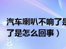 汽车喇叭不响了是怎么回事儿（汽车喇叭不响了是怎么回事）