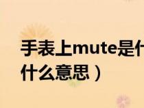 手表上mute是什么意思（汽车上mute代表什么意思）