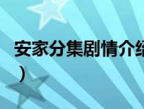 安家分集剧情介绍大结局（安家分集剧情介绍）