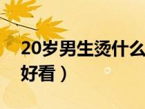 20岁男生烫什么发型好看（男生烫什么发型好看）