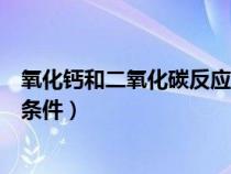 氧化钙和二氧化碳反应条件及现象（氧化钙和二氧化碳反应条件）