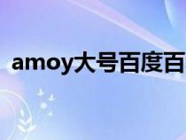 amoy大号百度百科（amoy大号开什么车）