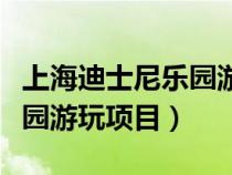 上海迪士尼乐园游玩项目介绍（上海迪士尼乐园游玩项目）