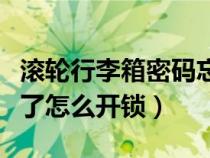 滚轮行李箱密码忘了怎么开锁（行李箱密码忘了怎么开锁）