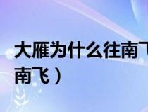 大雁为什么往南飞一年级答案（大雁为什么往南飞）