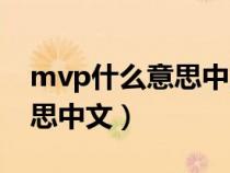 mvp什么意思中文翻译成英文（mvp什么意思中文）