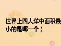 世界上四大洋中面积最小的是什么（世界上四大洋中面积最小的是哪一个）