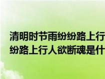 清明时节雨纷纷路上行人欲断魂是什么含义（清明时节雨纷纷路上行人欲断魂是什么节日）