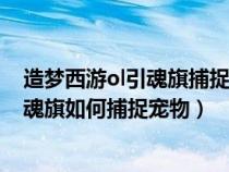 造梦西游ol引魂旗捕捉宠物需要多少捆仙索（造梦西游ol引魂旗如何捕捉宠物）