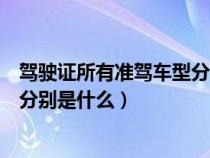 驾驶证所有准驾车型分别是什么意思（驾驶证所有准驾车型分别是什么）