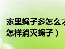 家里蝇子多怎么才能去除干净（家里蝇子太多怎样消灭蝇子）