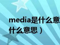 media是什么意思中文翻译（车里media是什么意思）