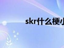 skr什么梗小学生（skr什么梗）