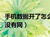 手机数据开了怎么没网（手机数据网开了但是没有网）