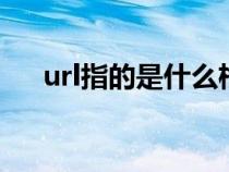 url指的是什么格式（URL指的是什么）