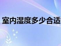 室内湿度多少合适冬季（室内湿度多少合适）