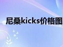 尼桑kicks价格图片（尼桑kicks是什么车）