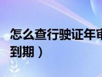 怎么查行驶证年审（如何查询行驶证是否年审到期）