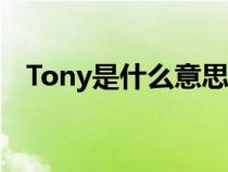 Tony是什么意思英语（tony是什么意思）