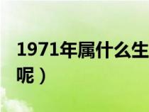 1971年属什么生肖的人（1971年属什么生肖呢）