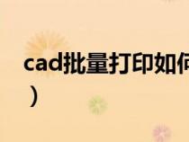 cad批量打印如何操作（cad批量打印的方法）