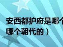 安西都护府是哪个朝代的机构（安西都护府是哪个朝代的）