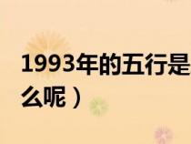 1993年的五行是属什么的（1993年五行属什么呢）