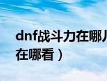 dnf战斗力在哪儿看（dnf100级版本战斗力在哪看）