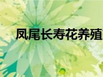 凤尾长寿花养殖方法（长寿花养殖方法）