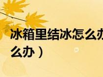 冰箱里结冰怎么办?怎么处理?（冰箱里结冰怎么办）