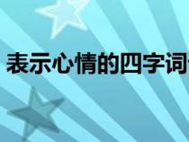 表示心情的四字词语（表示伤心的四字词语）