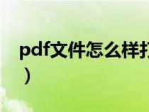 pdf文件怎么样打开（如何打开pdf格式文件）