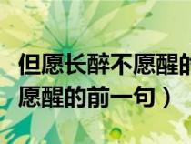 但愿长醉不愿醒的前一句是什么（但愿长醉不愿醒的前一句）