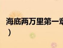 海底两万里第一章内容概括（海底两万里概括）