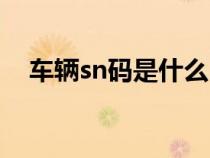 车辆sn码是什么（汽车sn号是什么意思）