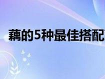 藕的5种最佳搭配蔬菜（藕的5种最佳搭配）